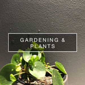 gardening and plants