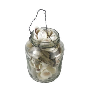 SEA SHELLS IN GLASS JAR