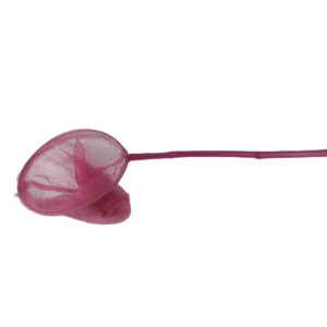 PINK BUTTERFLY NET