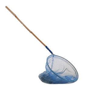 net blue butterfly