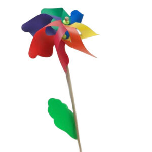 MULTICOLOUR FAN FLOWER