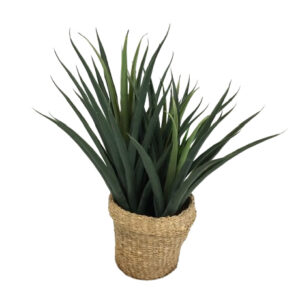 SPIKY GREEN FAUX PLANT IN BASKET