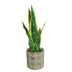 FAUX SNAKE PLANT IN BLACK WHITE FLORAL POT