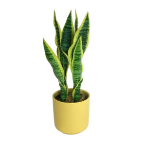 FAUX SNAKE PLANT IN YELLOW POT