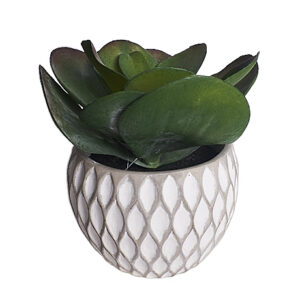 FAUX CACTI PLANT IN ROUNDED GREY WHITE POT (M)