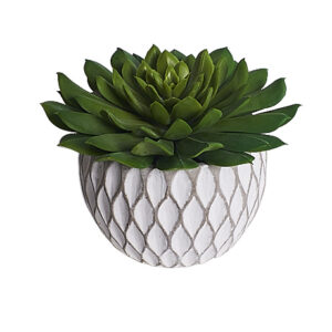 FAUX CACTI IN ROUNDED GREY WHITE POT (S)