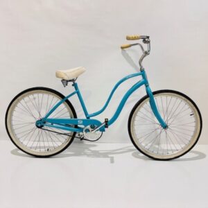 dutch bike blue (schwinn)